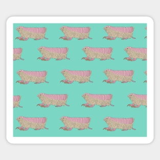 Amazing Pink Fairy Armadillo Sticker